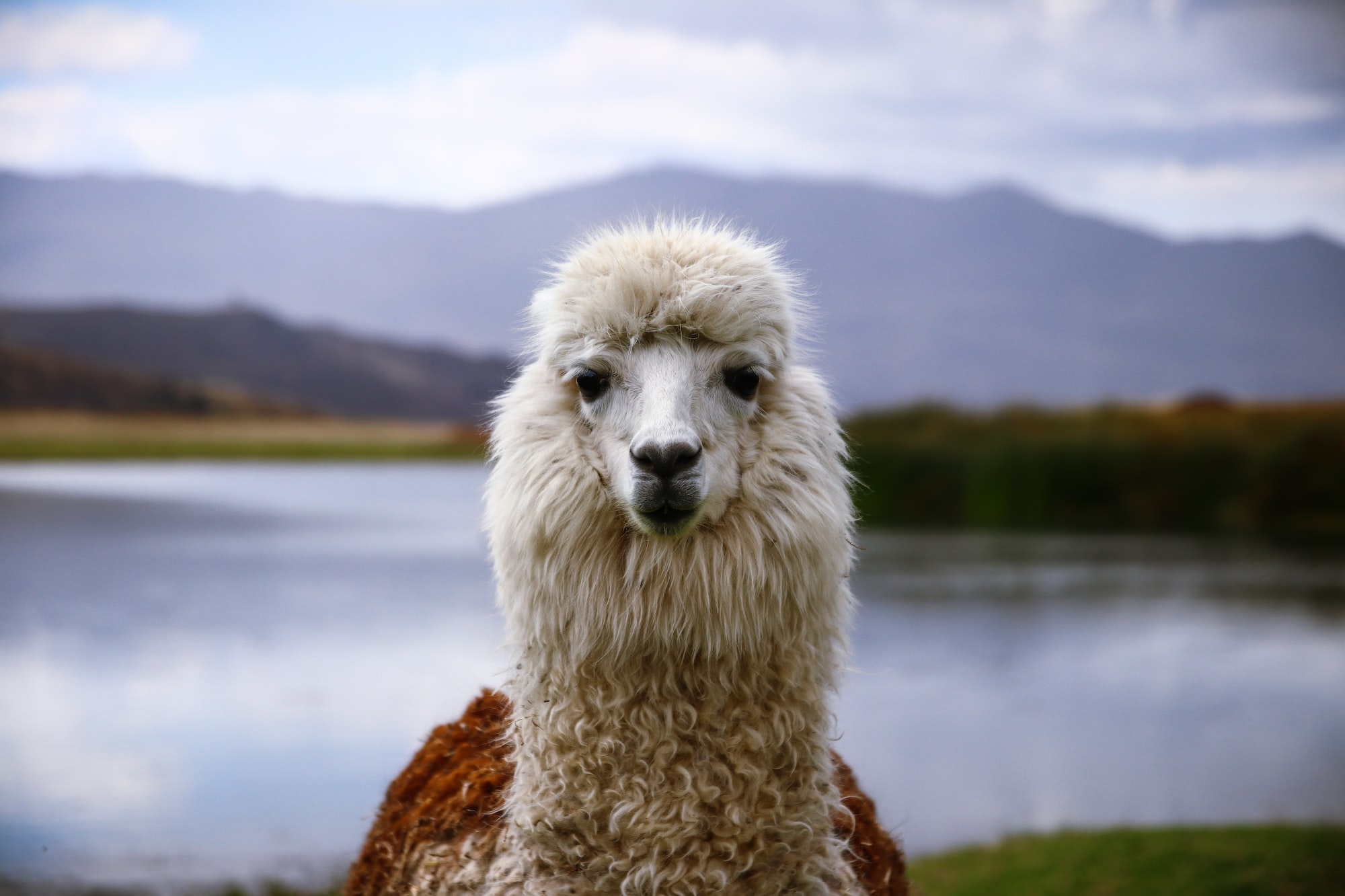 Photo by Paul Lequay / Unsplash